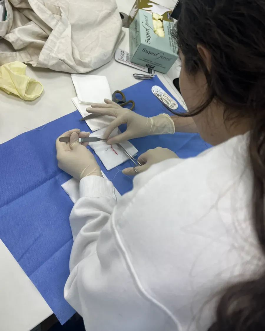 Louloua practising suturing stitches on a surgical training pad.