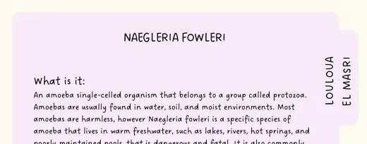 The Naegleria fowleri article title page, introducing the brain-eating amoeba.